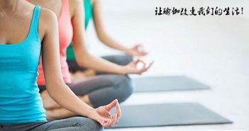 成人瑜伽高手视频在线观看,在线解锁成人瑜伽进阶之路