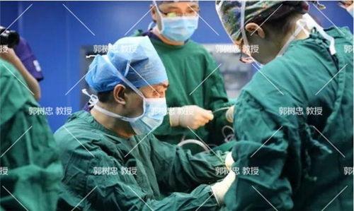 小耳手术成人能做吗视频,重塑自信，重拾美丽