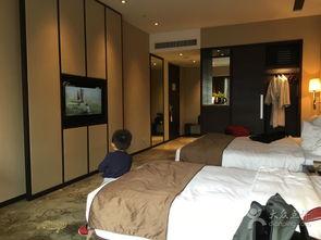 成人娱乐酒店布置视频,奢华与隐秘的完美融合