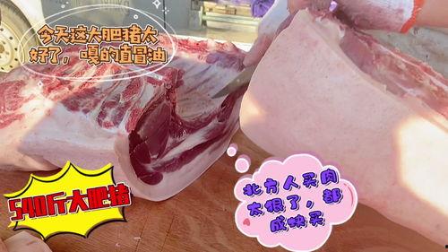 大肥猪变成人的视频,奇幻之旅的奇幻奇遇