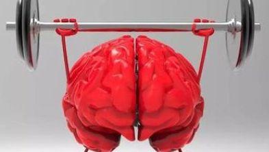 成人锻炼大脑玩具视频,探索成人锻炼大脑玩具的神奇效果视频解析” 第2张 成人锻炼大脑玩具视频,探索成人锻炼大脑玩具的神奇效果视频解析” 第2张