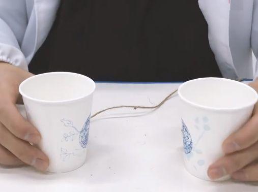 成人叠纸杯比赛视频