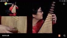 成人可学琵琶吗视频讲解  第3张