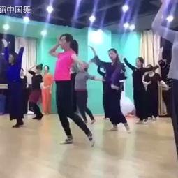 成人初级舞蹈视频,轻松入门舞林世界  第1张