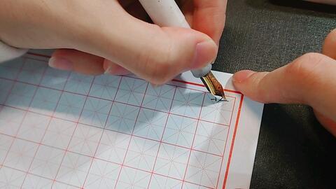 成人改左手写字好吗视频,成人改写技巧与益处揭秘