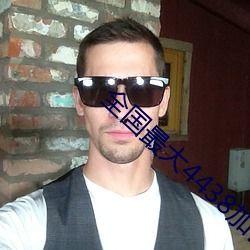 成人版黄色茄子视频下载,下载背后的真相与警示  第3张