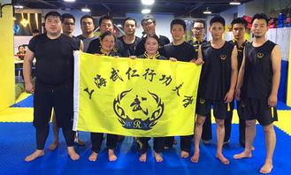 成人武术训练视频教学,成人入门必看技巧解析  第1张