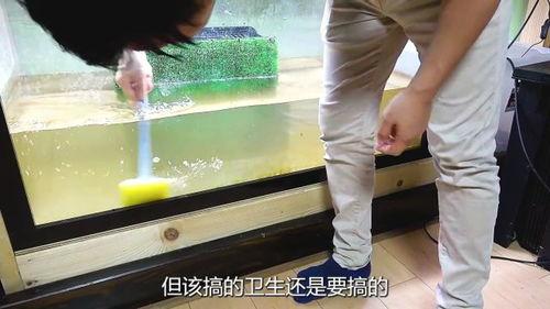 搞笑成人爬行视频,成人版“婴儿爬”挑战趣味无限  第3张